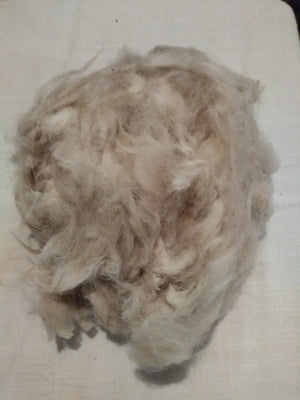 Raw Alpaca fiber